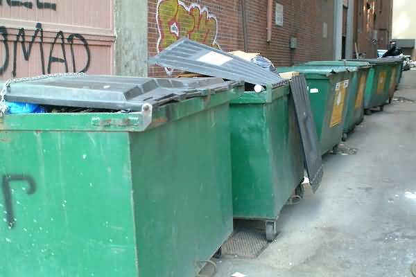 image19